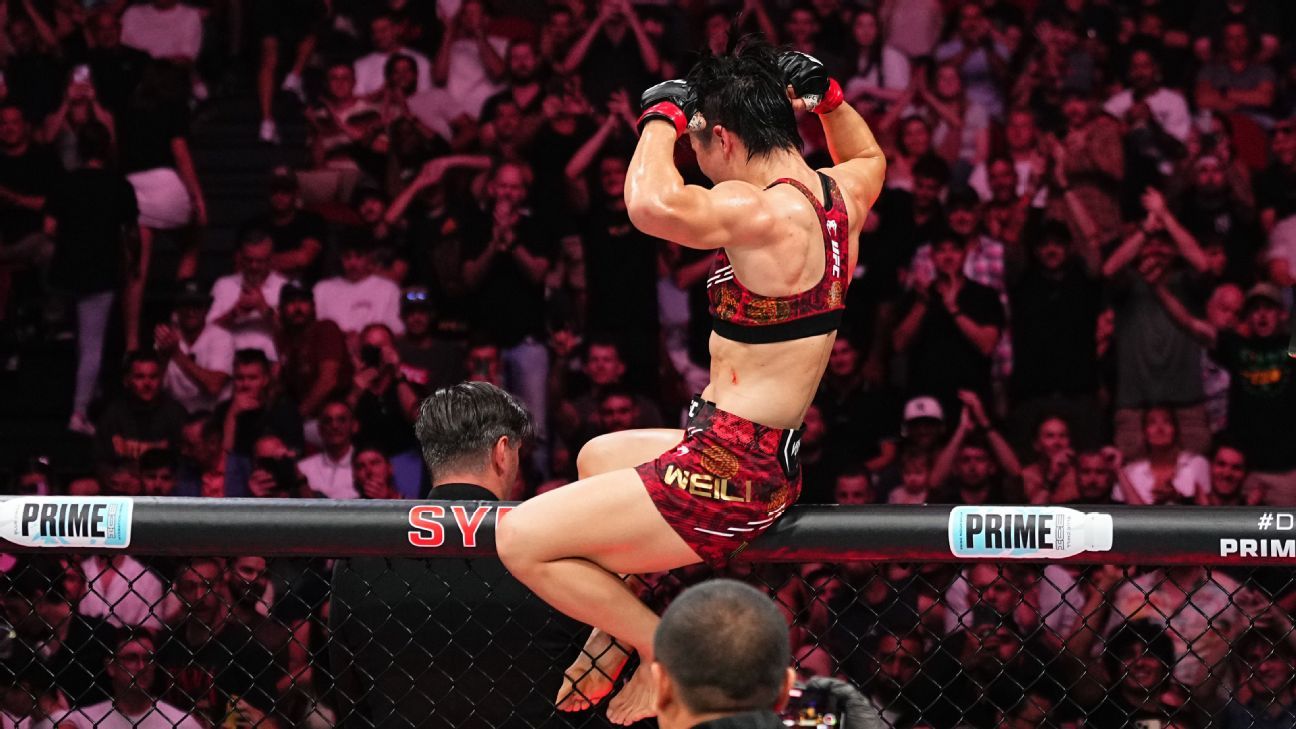 的后防中坚 的后防中坚