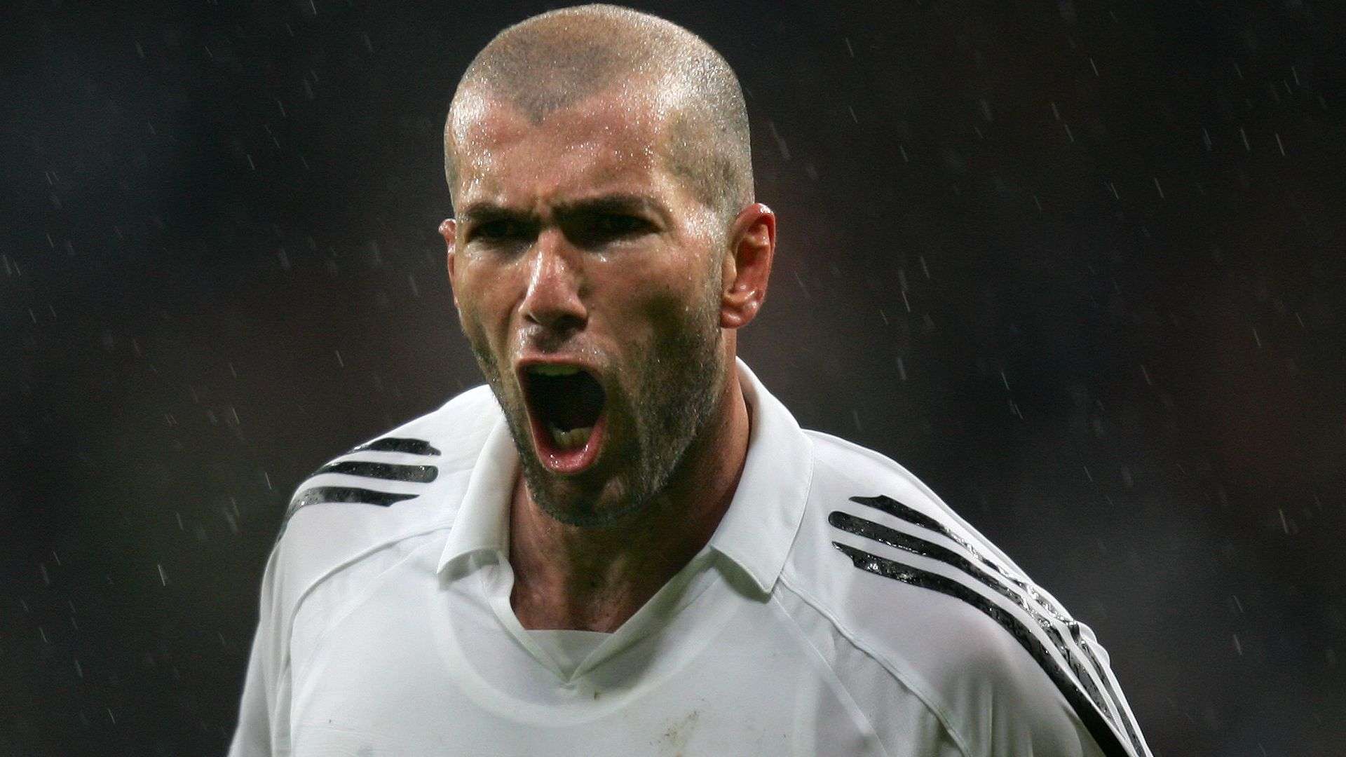 他曾帶領球 他曾帶領球